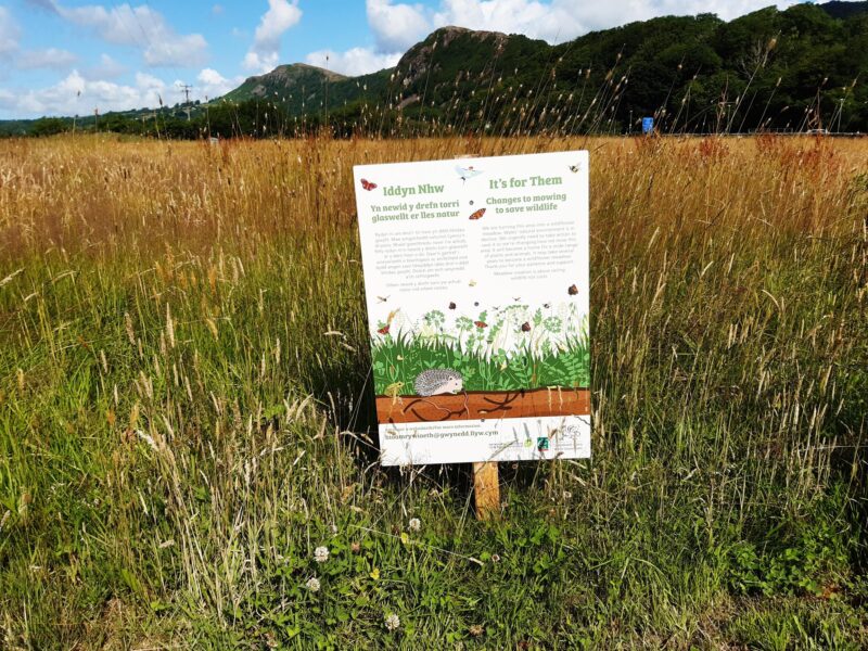 An Its For Them Nature sign in a meadowland, Gwynedd